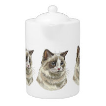 Zeichnend Ragdoll-Katze