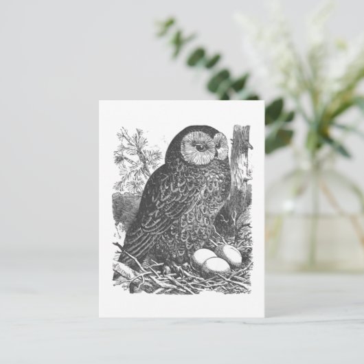 Zeichnend Retro-Brooding Postkarte (Stehend Vorderseite)