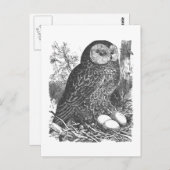 Zeichnend Retro-Brooding Postkarte (Vorne/Hinten)