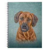 Zeichnend Rhodesian Ridgeback Notizblock (Vorderseite)