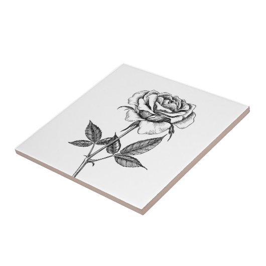 Zeichnend Rose Fliese (Seite)