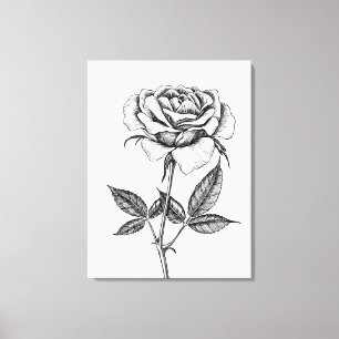 zeichnend Rose Leinwanddruck