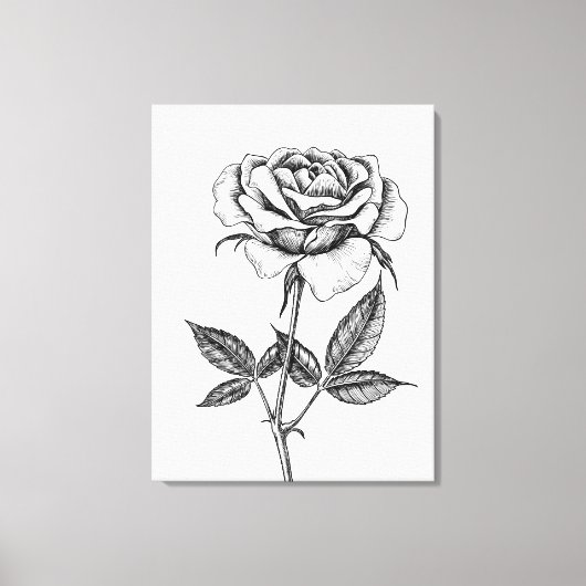zeichnend Rose Leinwanddruck (Vorderseite)