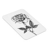 zeichnend Rose Magnet (Rechte Seite)