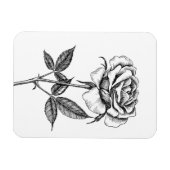 zeichnend Rose Magnet (Horizontal)