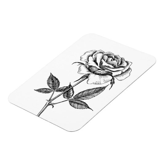 zeichnend Rose Magnet (Linke Seite)