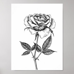 zeichnend Rose Poster