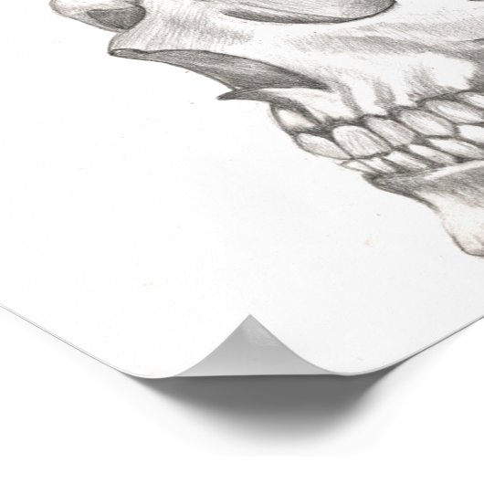 zeichnend Rose Poster (Ecke)