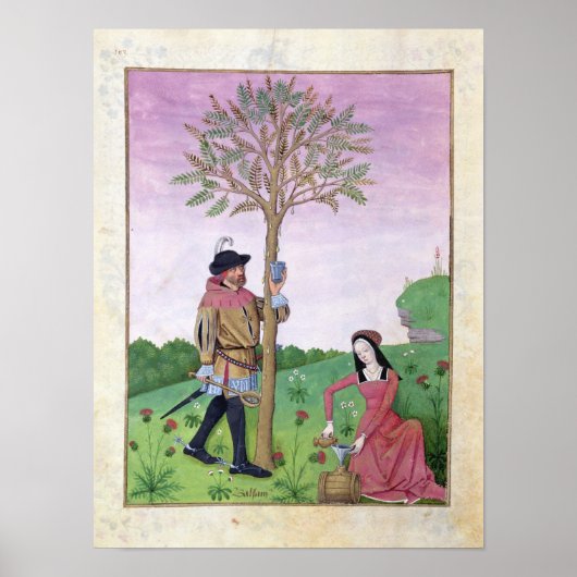 Zeichnend Saft aus einem Baum Poster (Vorne)