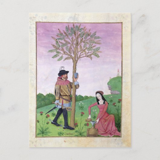 Zeichnend Saft aus einem Baum Postkarte (Vorderseite)