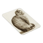 Zeichnend Schwarz-Weiß-Stift der Katze Magnet (Rechte Seite)