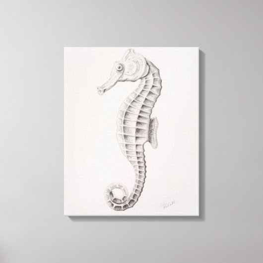Zeichnend Seepferd an der Küste Leinwanddruck (Vorderseite)