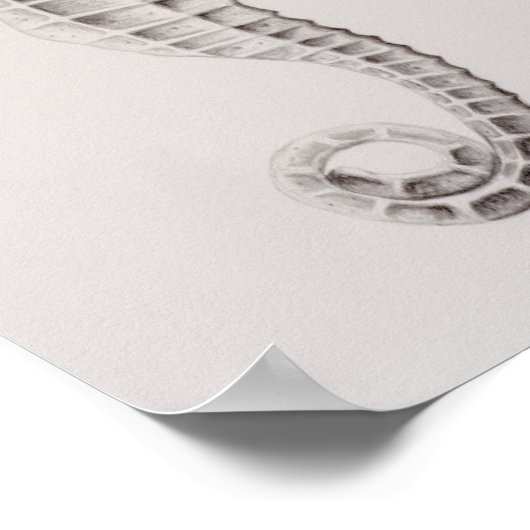 Zeichnend Seepferd an der Küste Poster (Ecke)