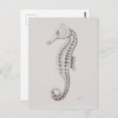 Zeichnend Seepferd an der Küste Postkarte (Vorne/Hinten)