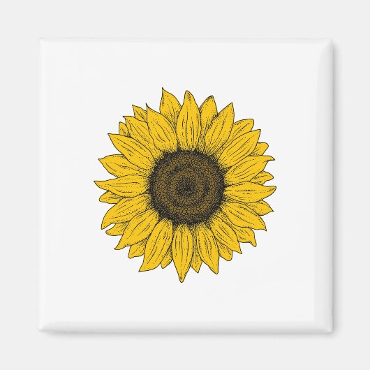 Zeichnend Sonnenblume Magnet (Vorne)