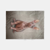 Zeichnend Sphynx-Kätzchen Fleecedecke (Vorderseite (Horizontal))