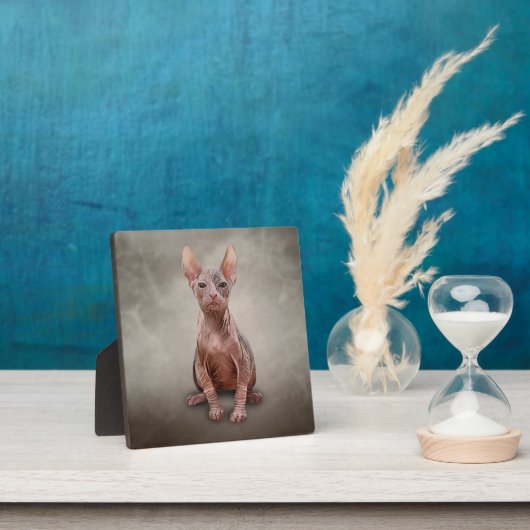 Zeichnend Sphynx-Kätzchen Fotoplatte (InSitu)