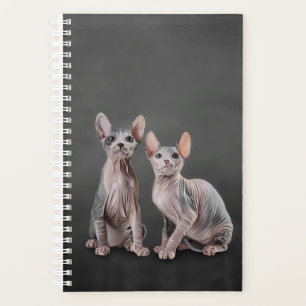 Zeichnend Sphynx-Kätzchen Planer