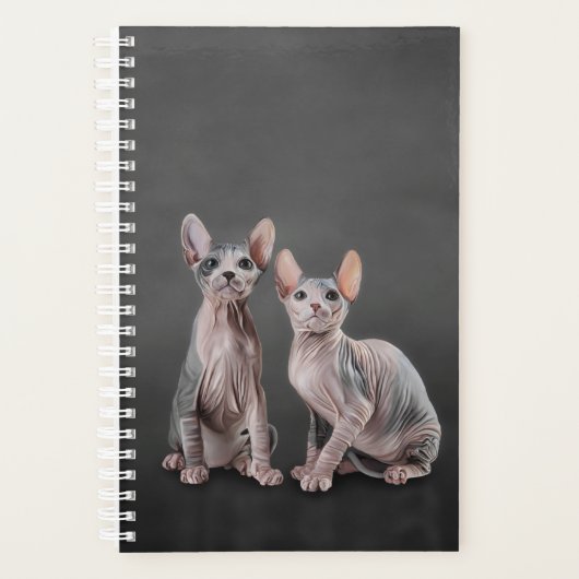 Zeichnend Sphynx-Kätzchen Planer (Vorderseite)