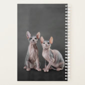 Zeichnend Sphynx-Kätzchen Planer (Rückseite)