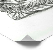 Zeichnend Tiger Poster (Ecke)