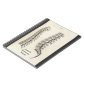 Zeichnend Vertebrae Notizblock (Linke Seite)