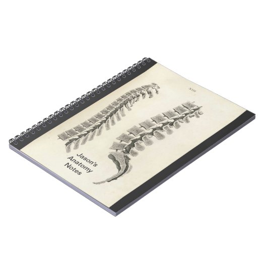 Zeichnend Vertebrae Notizblock (Linke Seite)