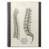 Zeichnend Vertebrae Notizblock (Vorderseite)