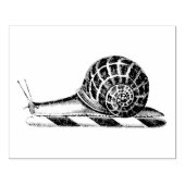 Zeichnend Vintage Schnecke Gummistempel (Prägung)