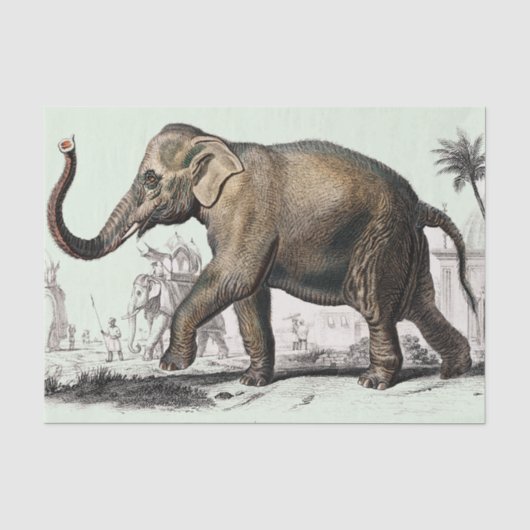 zeichnend Vintager Elefant Seidenpapier (Vorderseite)