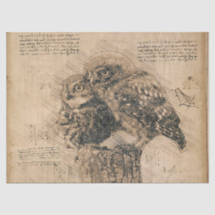 Zeichnend Vintages Owl Seidenpapier