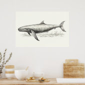 Zeichnend Wale Poster (Küche)