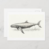 Zeichnend Wale Postkarte (Vorne/Hinten)