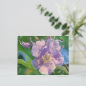 Zeichnend Wild Rose Mixed Media Postkarte (Stehend Vorderseite)