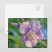 Zeichnend Wild Rose Mixed Media Postkarte (Vorne/Hinten)