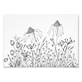 zeichnend Wildblumen Fotodruck