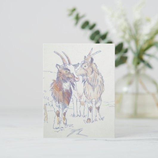 Zeichnend Ziege - Die Geschwister Postkarte (Stehend Vorderseite)