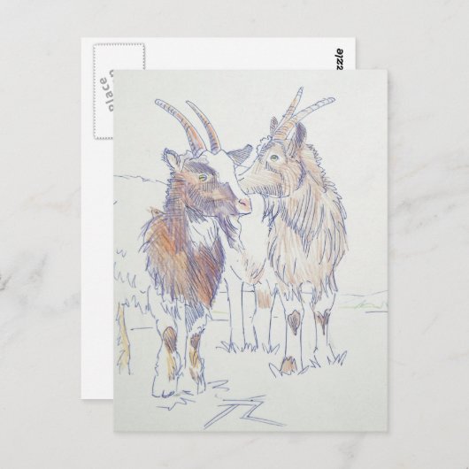 Zeichnend Ziege - Die Geschwister Postkarte (Vorne/Hinten)