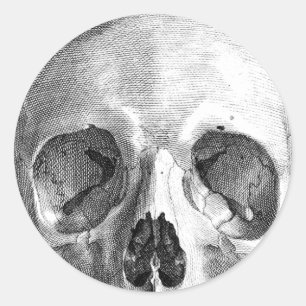 Zeichnung der Anatomie eines menschlichen Schädels Runder Aufkleber