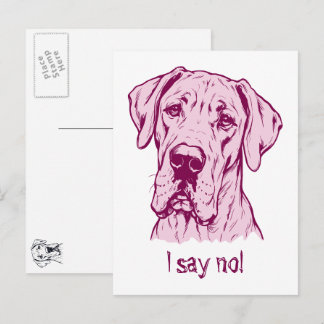Zeichnung einer Great Dane-Porträt Postkarte