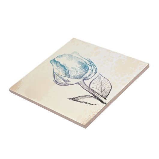 Zeichnung einer Rose, Fliese (Seite)