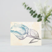 Zeichnung einer Rose, Postkarte (Stehend Vorderseite)