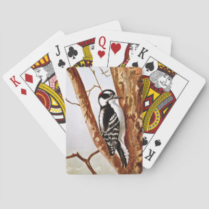 Zeichnung eines Dunenspechts Spielkarten