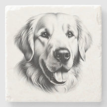 Zeichnung Golden Retriever