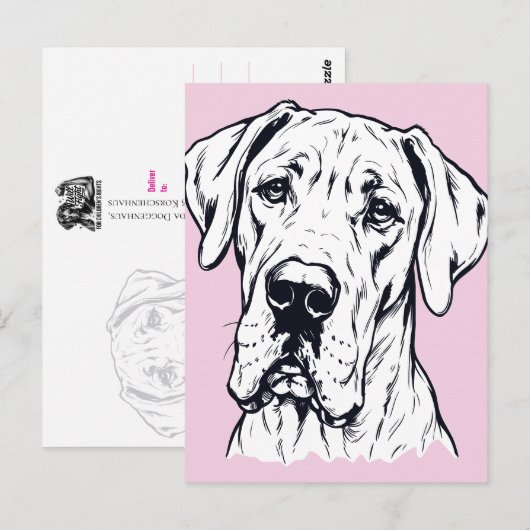 Zeichnung Große Däne Kopf Postkarte (Vorne/Hinten)