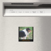 Zeig mir eine Collie... Magnet (In Situ (Geschirrspüler))