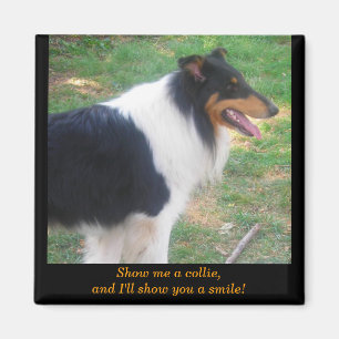 Zeig mir eine Collie... Magnet