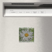 Zeig mir eine Margerite #1 Magnet (In Situ (Geschirrspüler))