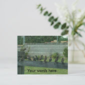 Zeige die Vögel auf einer Schiene Deine Worte Post Postkarte (Stehend Vorderseite)