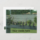 Zeige die Vögel auf einer Schiene Deine Worte Post Postkarte (Vorne/Hinten)